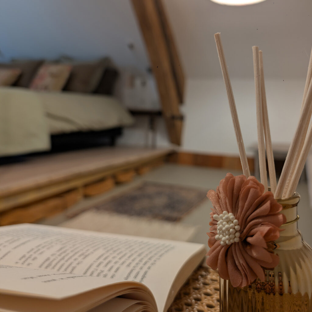 hebergement-touristique-champagne-pivoine-decoration-1a